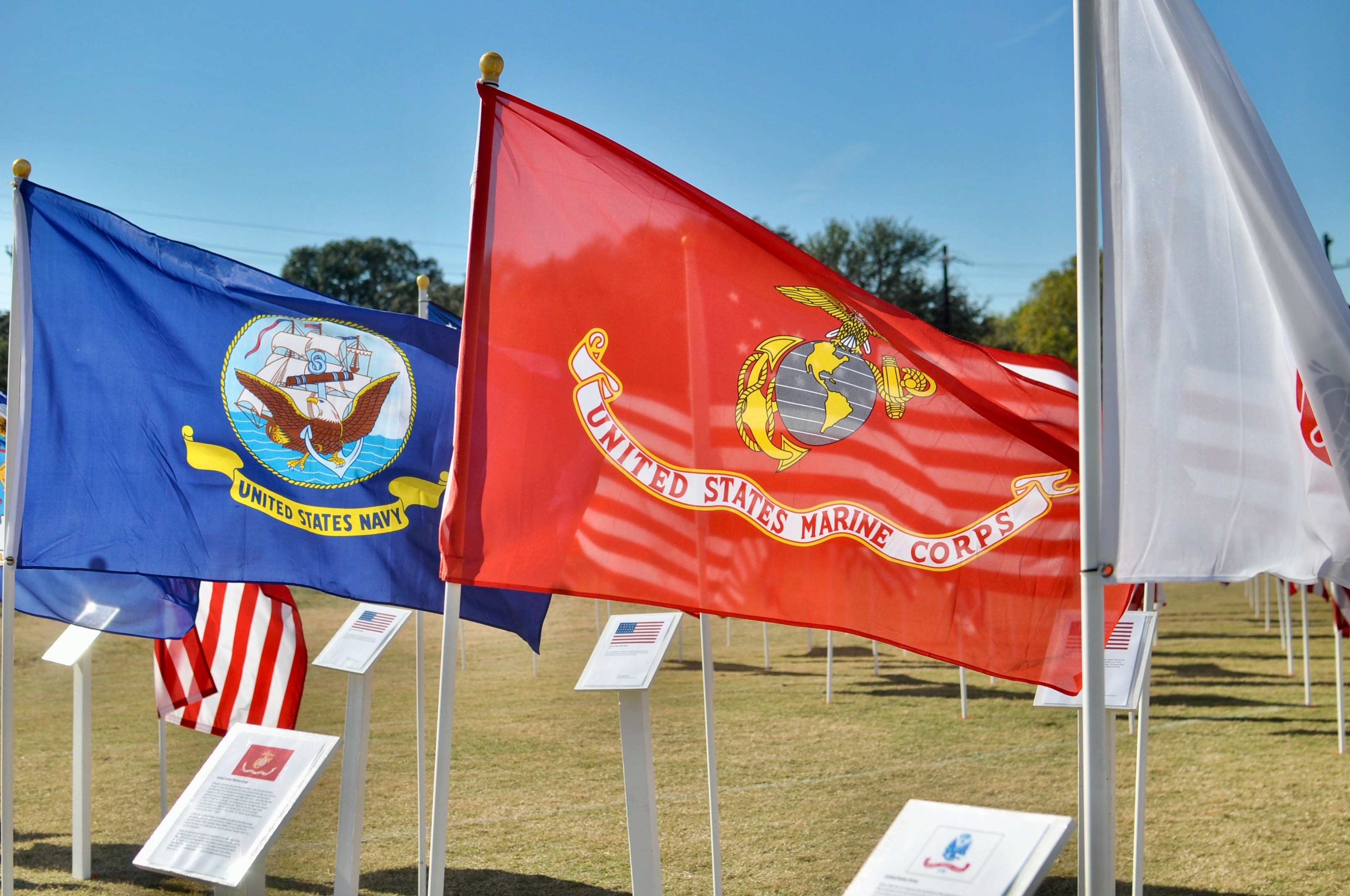 Picture of a US Navy and Marine Corp flags fluttering in the wind with US flags seen behind them